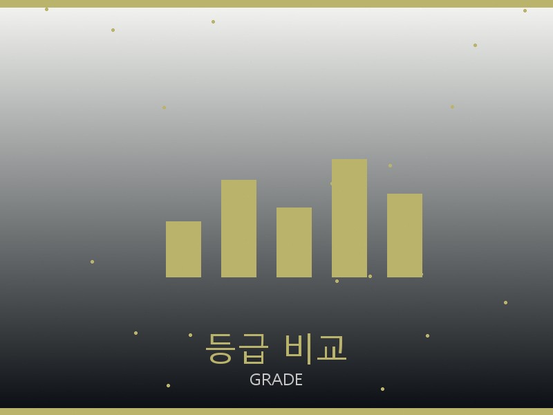 루이비통 레플 레플리카 사이트 등급 기준 비교
